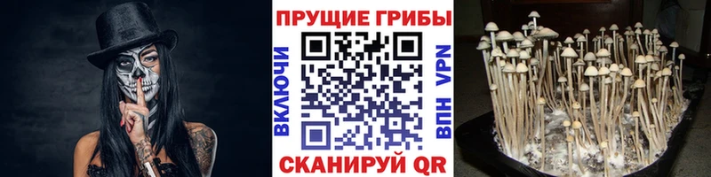Галлюциногенные грибы мухоморы  площадка как зайти  Южно-Сахалинск 